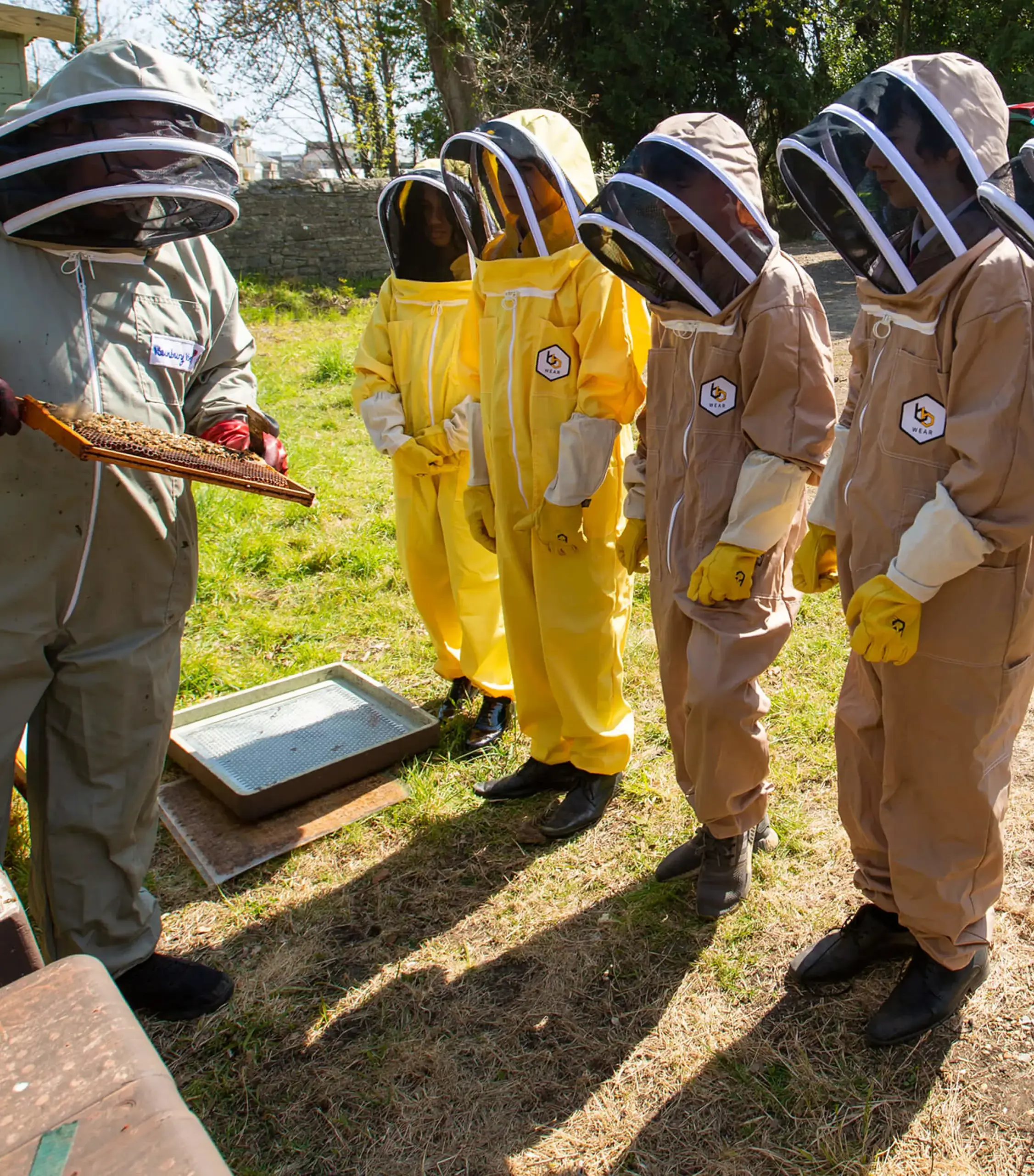 Ryde School Senior Pupils beekeeping