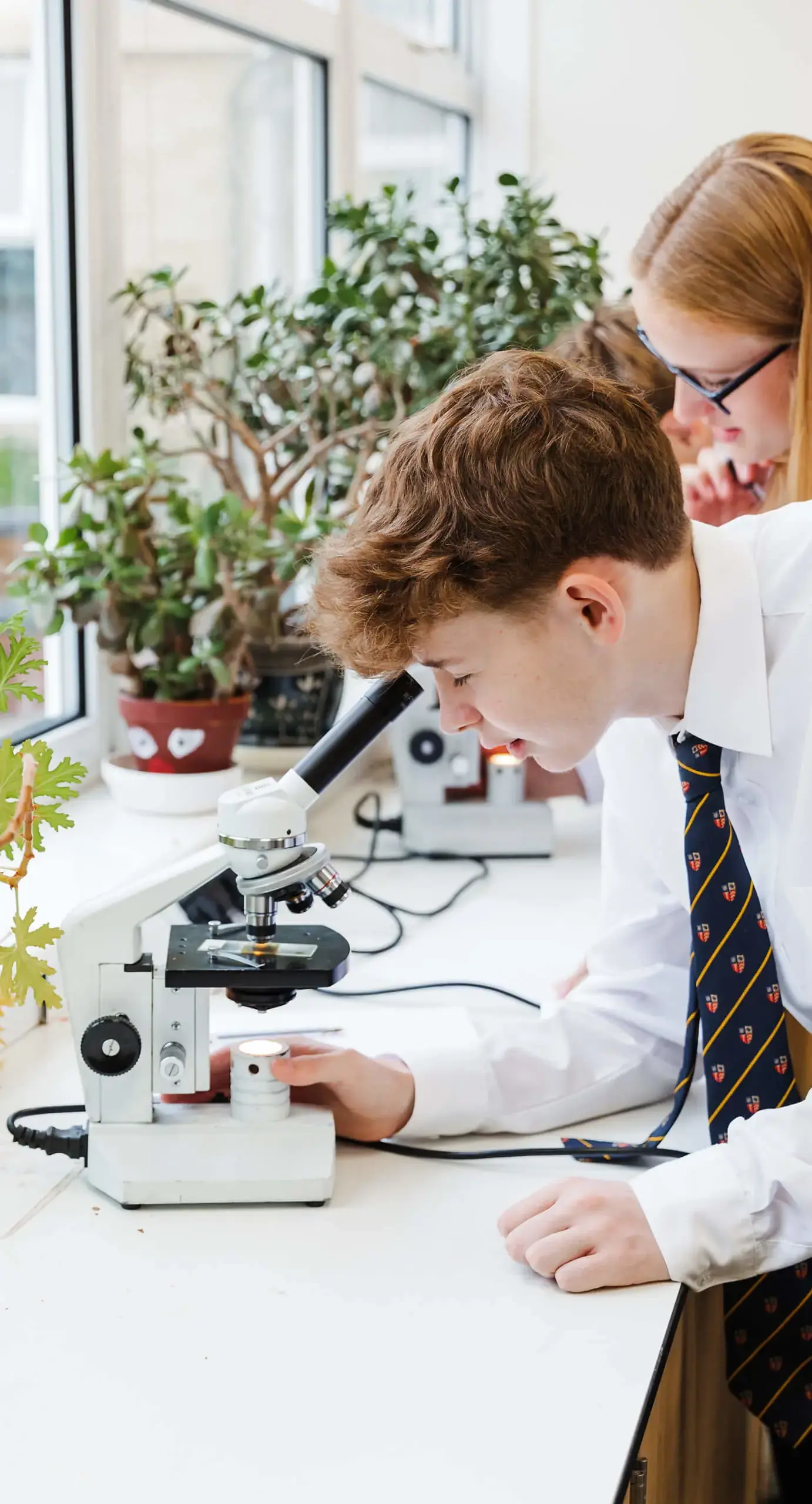 Ryde School Sixth Form pupil looking through a microscope