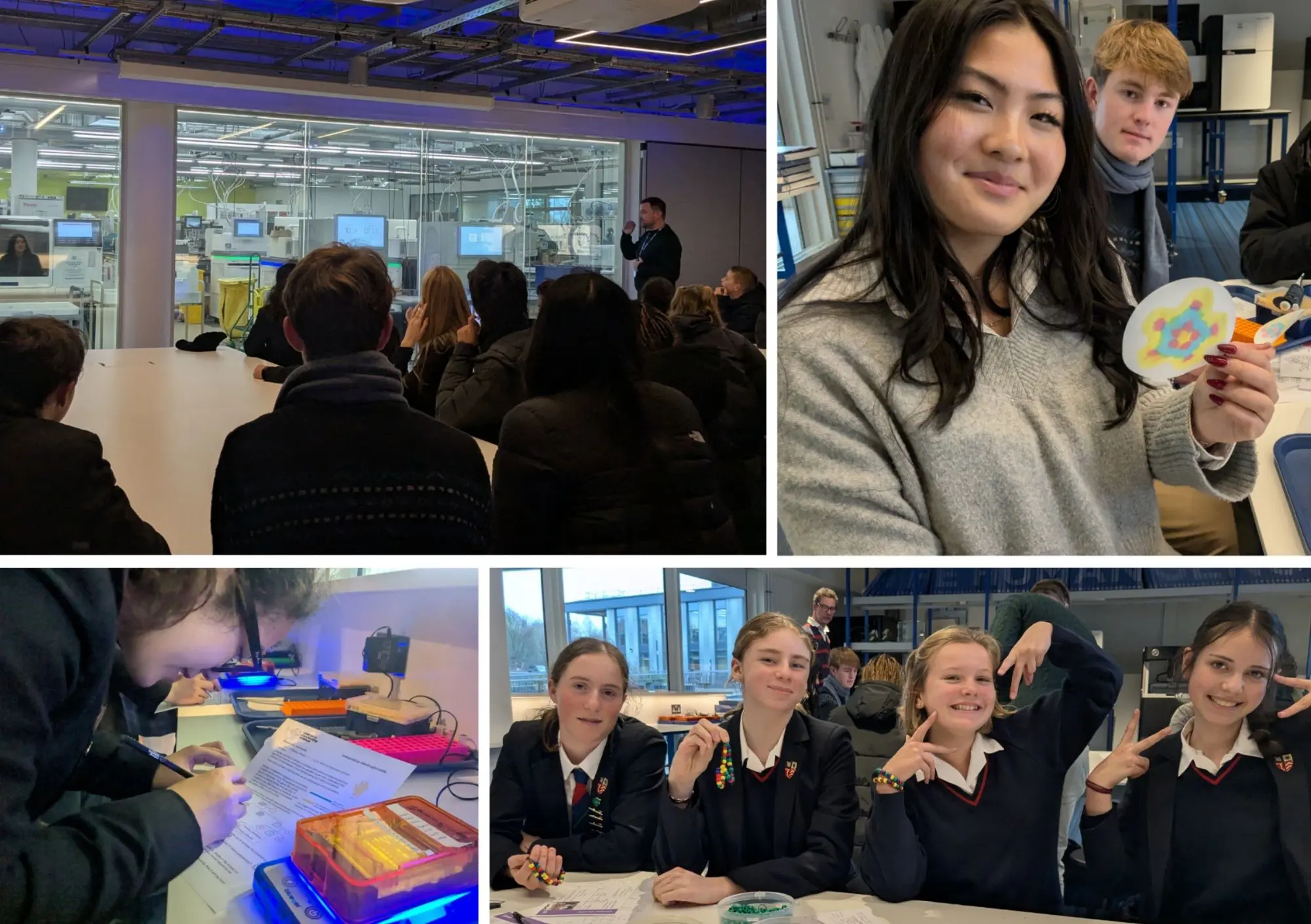  OptimizedImage,,,Optimized