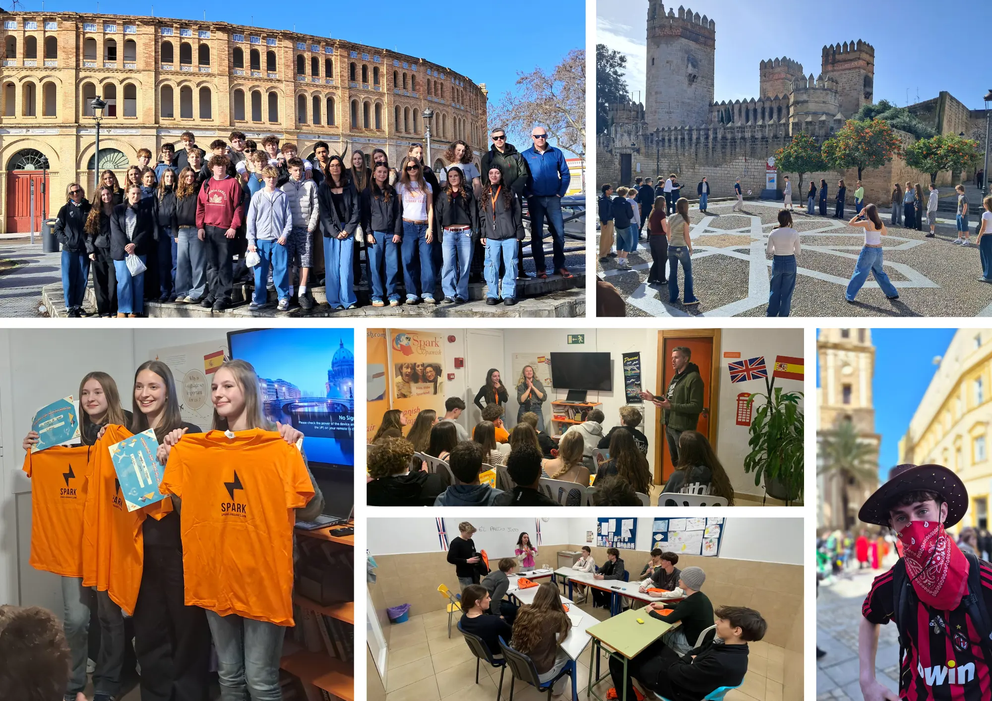  OptimizedImage,,,Optimized