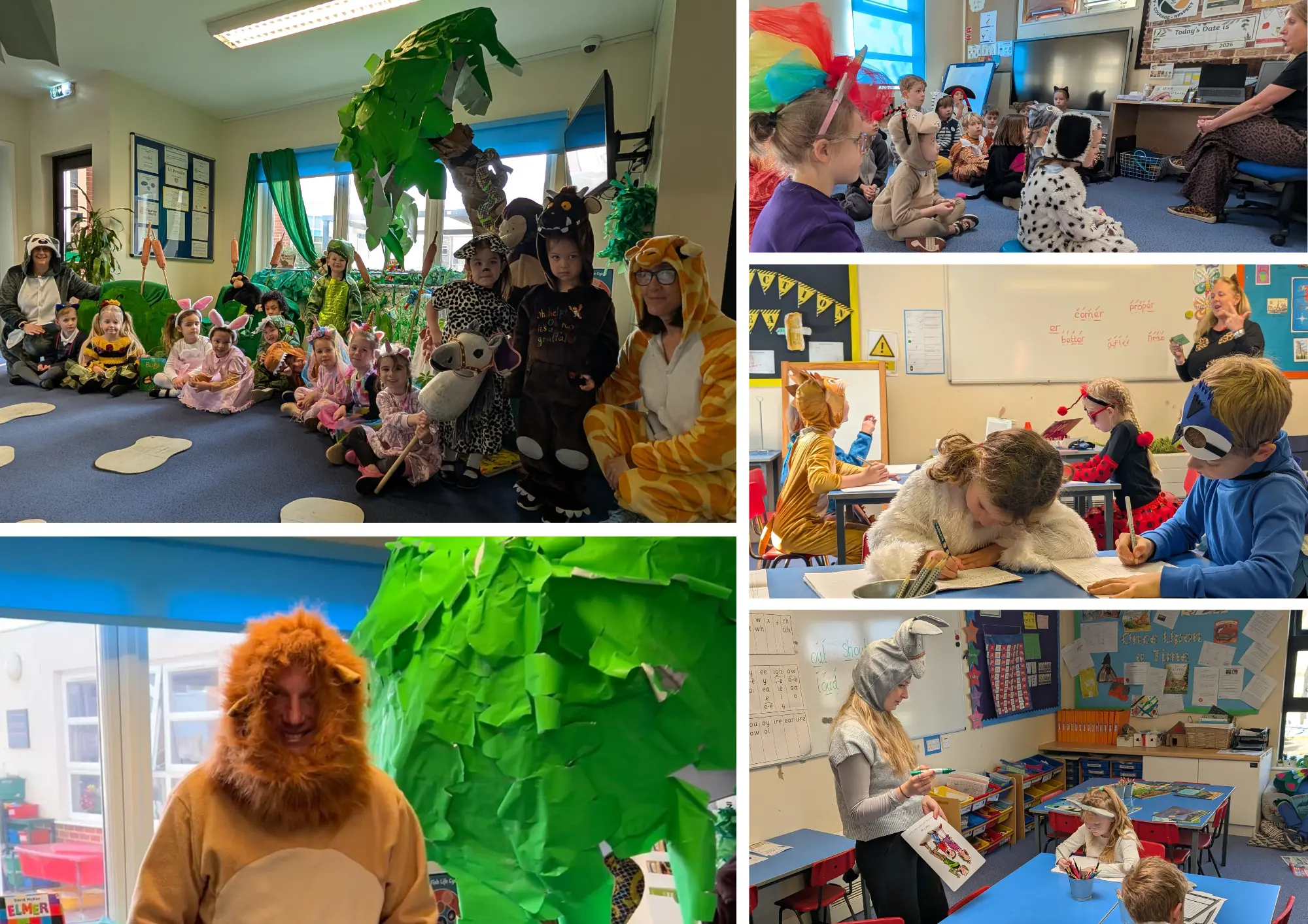  OptimizedImage,,,Optimized