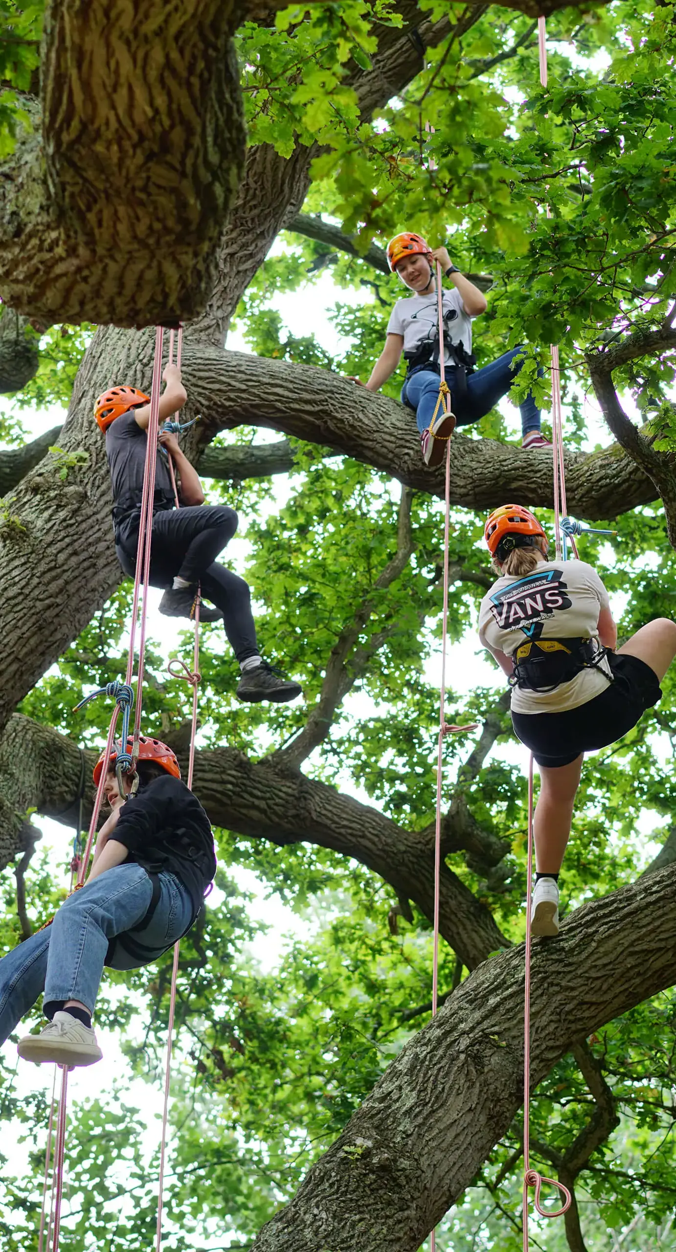 Ryde School Sixth Form students climbing a tree